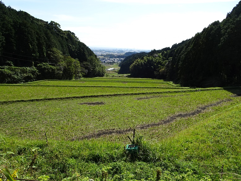 基山町6