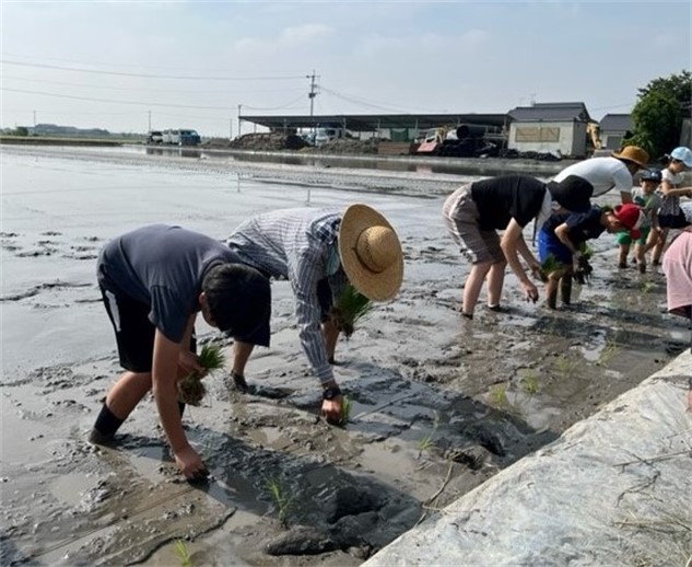 手植え田植えする人々