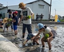 手植え田植えする子供たち