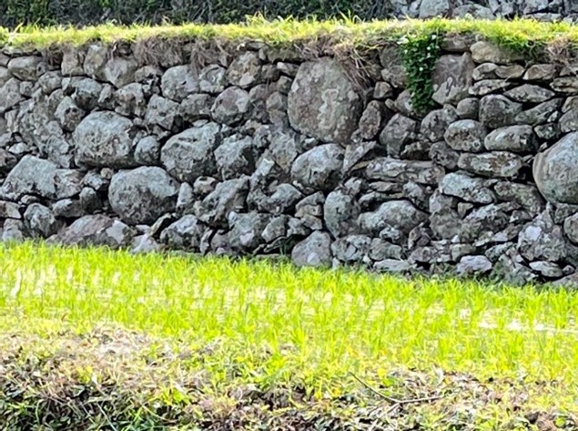 近くからみた棚田風景1