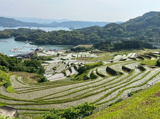 海を望む棚田風景2