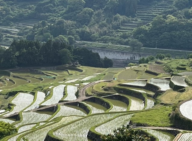 棚田風景2