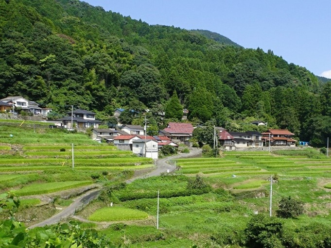 棚田の風景１