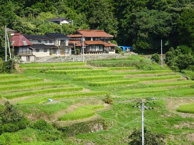 棚田の風景２