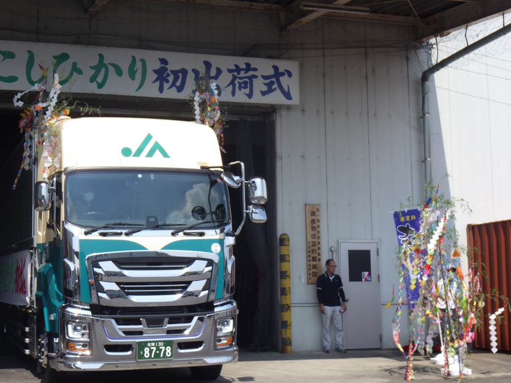 出荷式の模様２