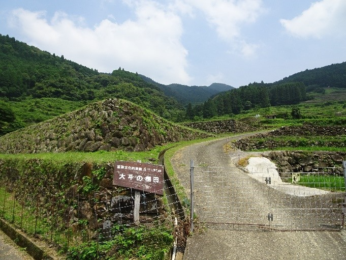 大平の棚田１