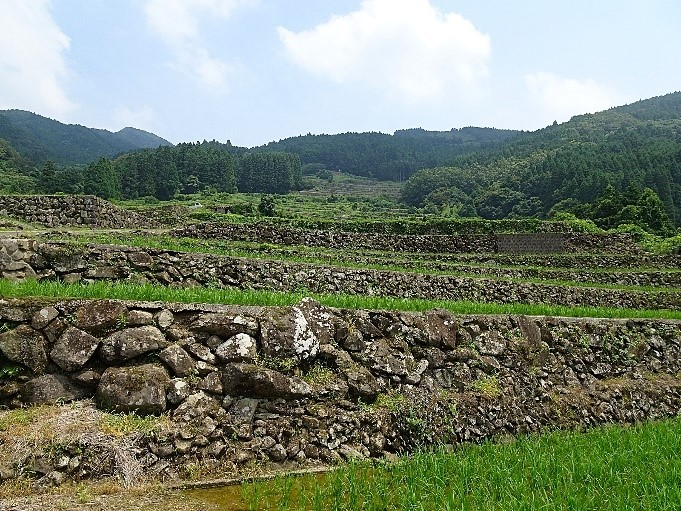 大平の棚田２