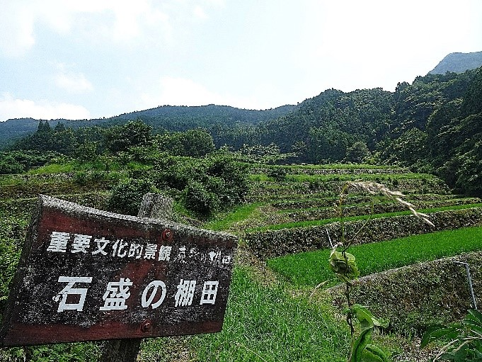 石盛の棚田１