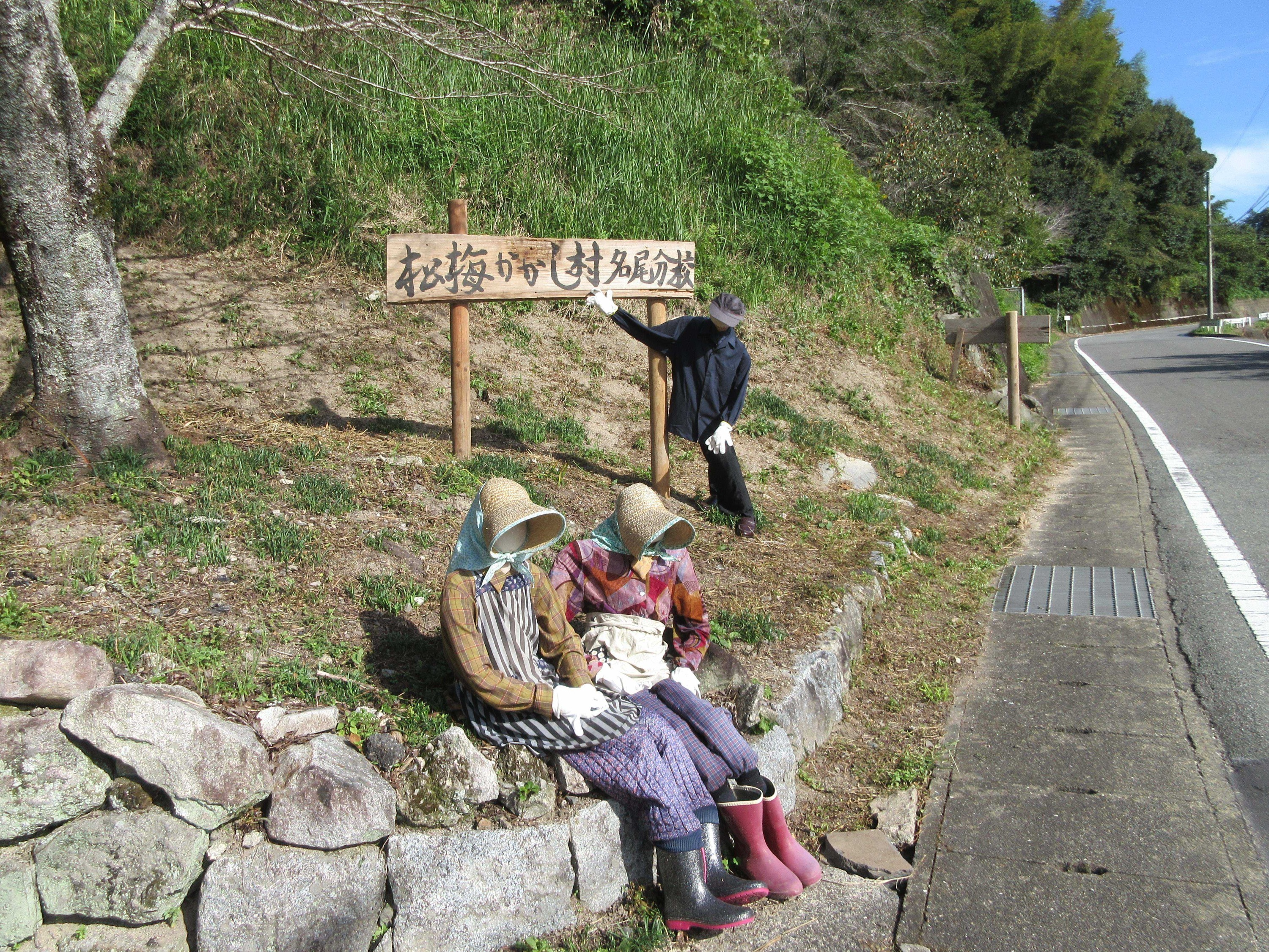 農作業の模様５