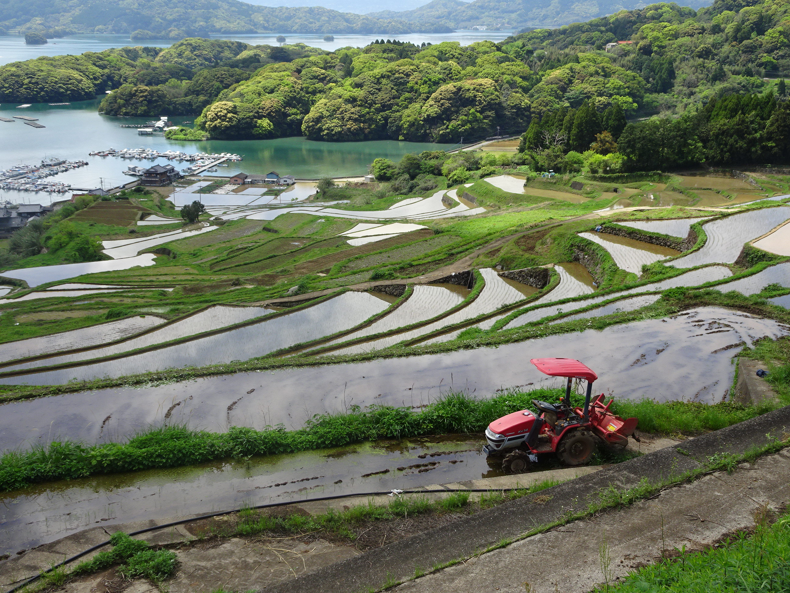 田植え前の棚田