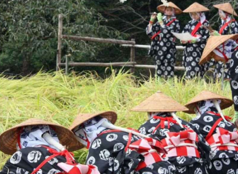 収穫