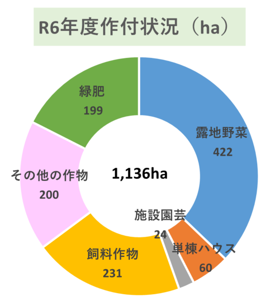 R6作付状況