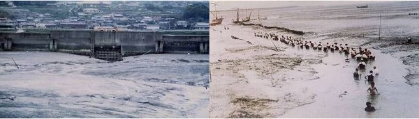 潟土堆積状況、澪筋管理状況