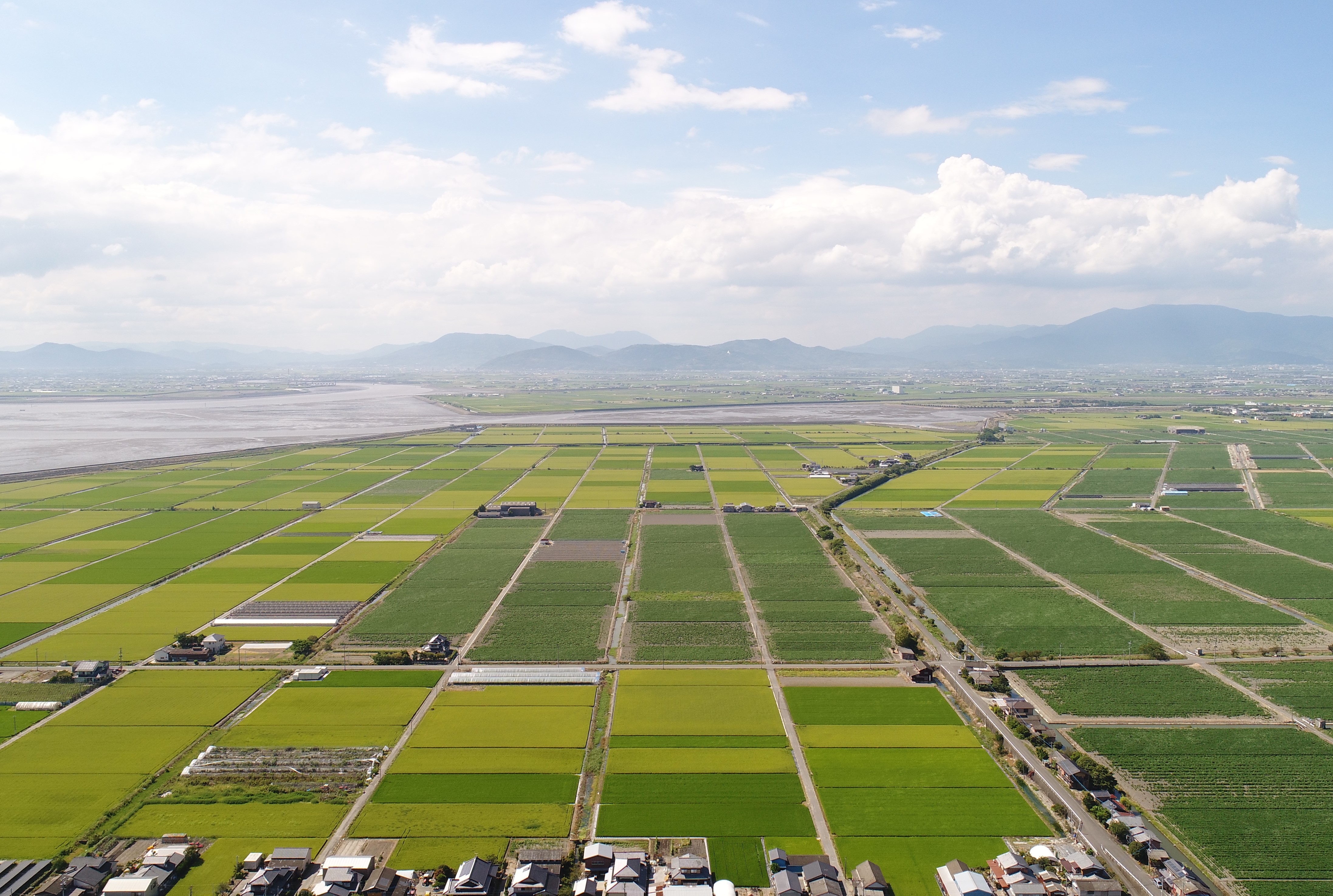 筑後平野