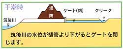 干潮時