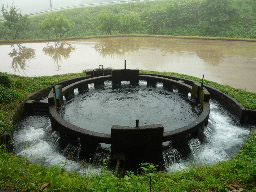 円筒分水