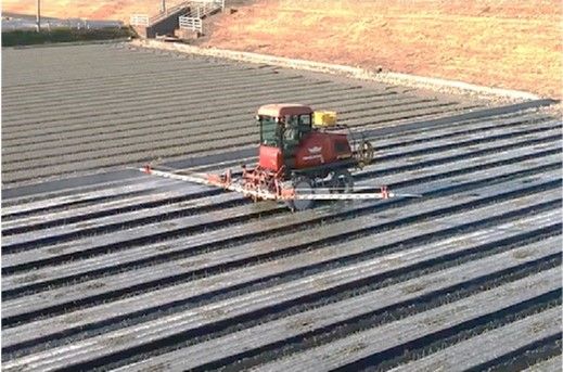 たまねぎの防除