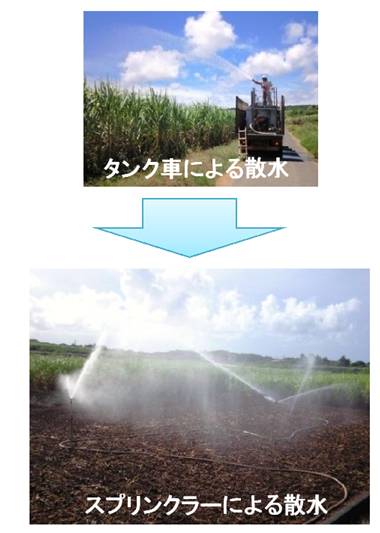 散水労力の軽減（写真）