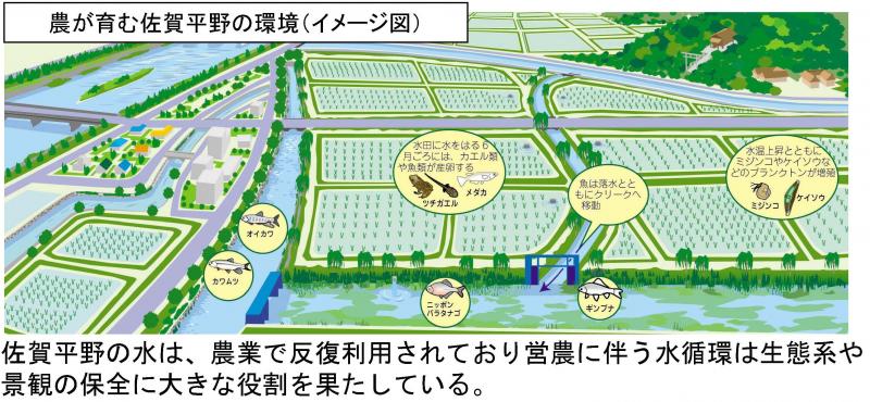 農が育む佐賀平野の環境イメージ図