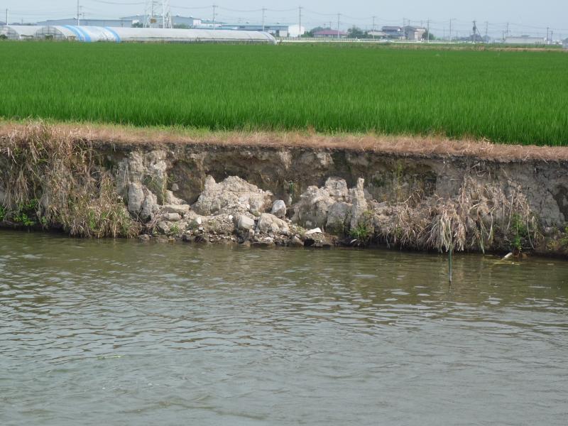 のりめんの崩落による農地への影響の写真