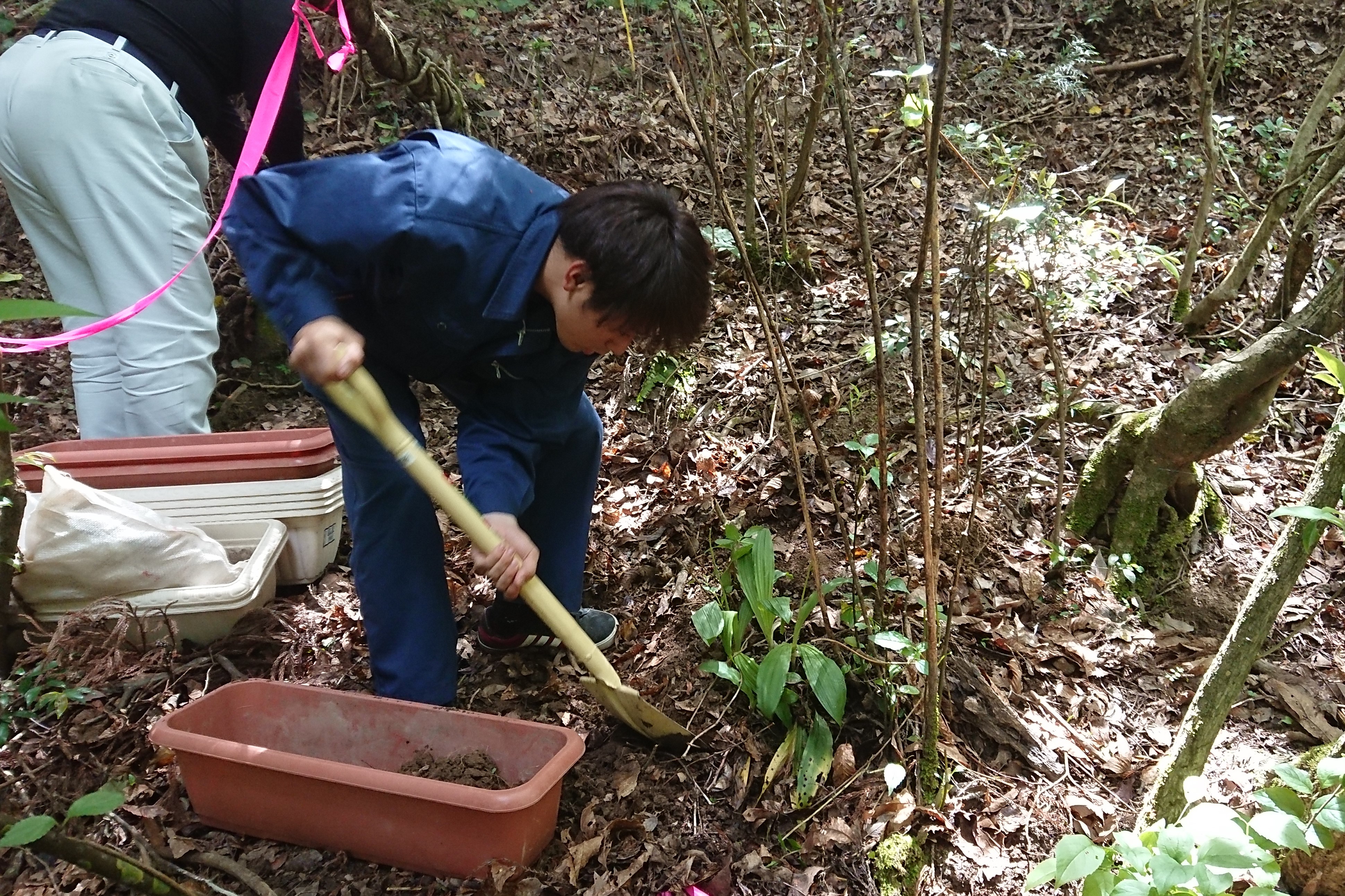 移植イメージ