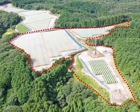 矢津工区の植栽