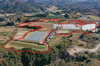 且尾１工区の植栽