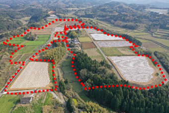 塔尾２工区の植栽