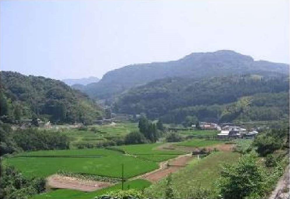 平野水田部