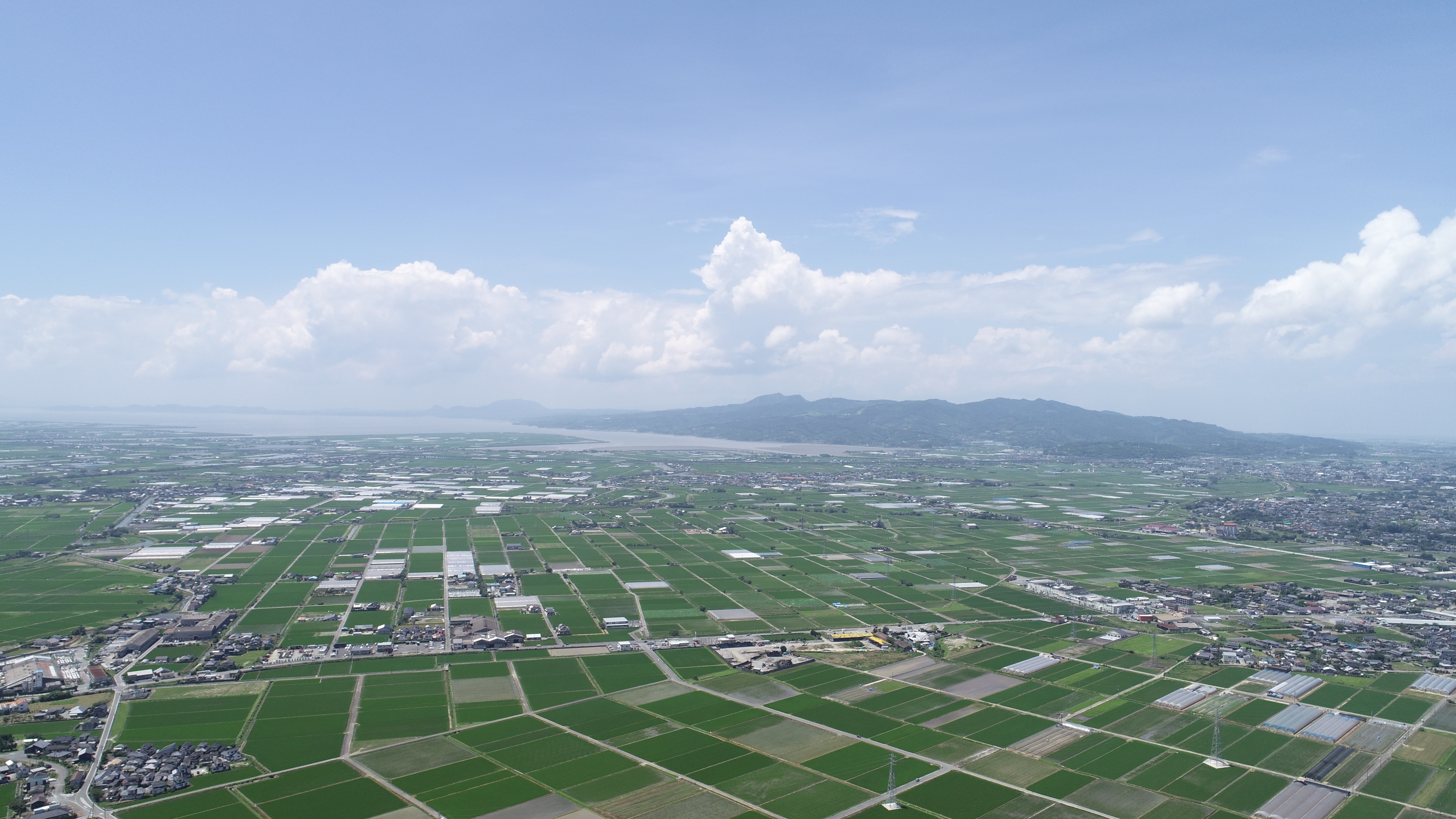 田植え後