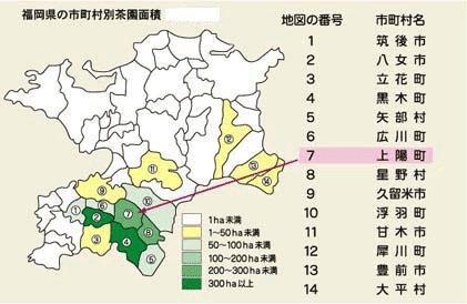 福岡県の市町村別茶園面積