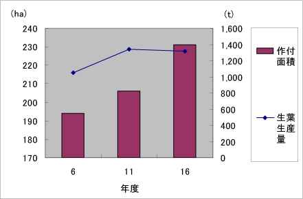 茶の作付面積と生葉生産量（上陽町）