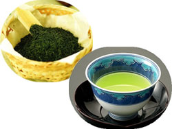 高品質「八女茶」の安定生産