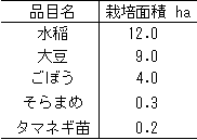 表：柳瀬営農組合の栽培品目及び栽培面積