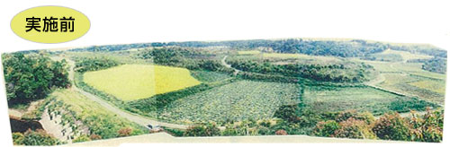農地の集積状況（実施前）