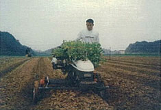 機械の導入により作業効率アップ