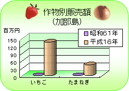 作物別販売額（加部島）