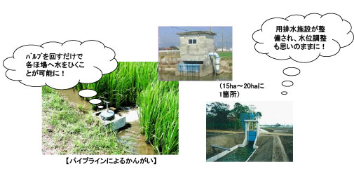 ほ場整備の実施