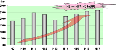 コシヒカリ作付面積の推移