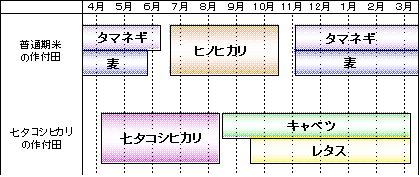 七夕コシヒカリと他の作物の栽培時期
