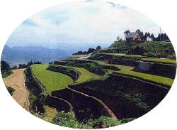 日本の棚田百選にも選ばれた「岳の棚田」の整備状況(耐久性畦畔、湧水処理等)