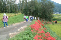 「棚田ウォーク」の開催