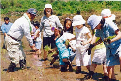 「田植え」などの農業体験