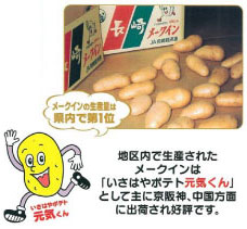 いさはやポテト「元気くん」