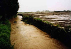 流出した耕土が道路を流れ下流部の水路やため池、河川に堆積