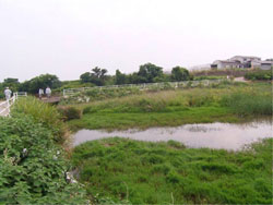 下流部のAため池では、約8000m3の浚渫を行った後約10年程度で満水位まで再度土砂が堆積している