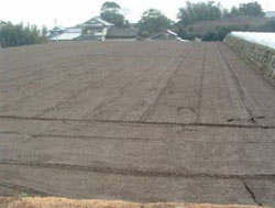 畑面勾配を現況3～5％から1％に緩勾配化。降雨直後で耕土流出はほとんど認められない。肥培管理等ほ場の管理作業の軽減