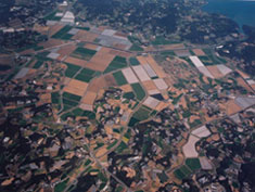 県内2番目の深江たばる大区画圃場完成