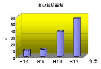 麦の栽培面積