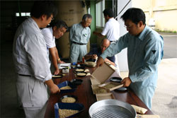 大麦の品質検査状況